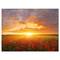 Designart - Poppy Field under Bright Sunset - Landscape Canvas Art Print